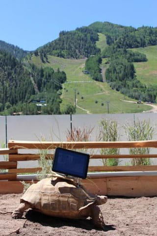 Cai_MovingGhostTown2