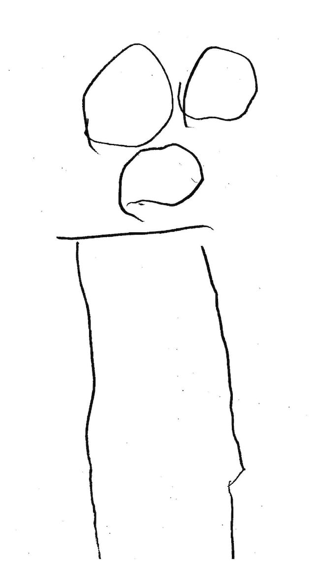 “Twins Early Development Study, King’s College London”