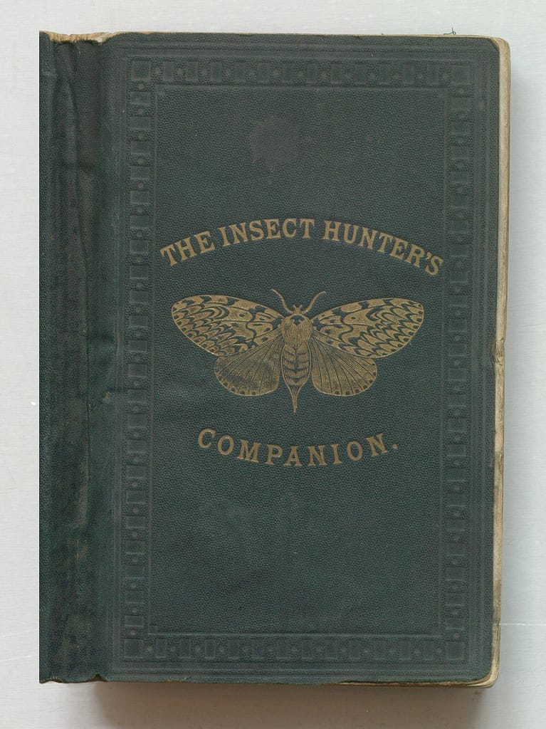 Joseph Greene, "The Insect Hunter's Companion" (1870) (via Thomas Fisher Rare Book Library)