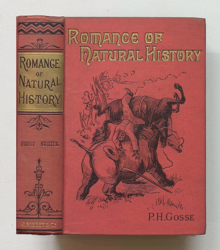 Philip Henry Gosse, "The Romance of Natural History" (1860) (via Thomas Fisher Rare Book Library)