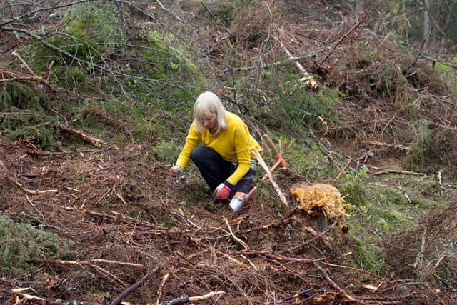 Katie Paterson, "Future Library" (2014-2114) (photo © MJC)