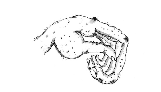 hand