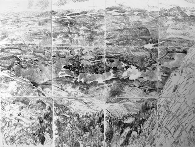 JOE WILSON From Ben Lettery. monoprint 12 panels 180 x 225 cm