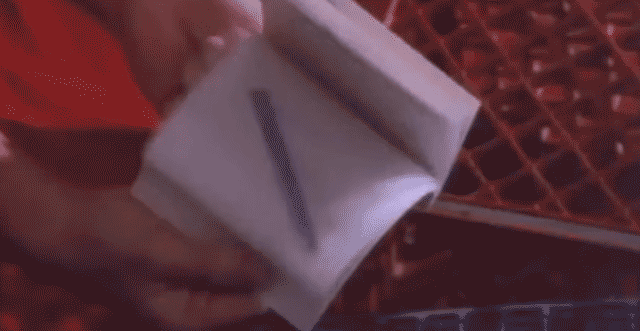 A snippet of William Wegman's video for New Order's "Blue Monday" (1988) video (via YouTube, GIF Hrag Vartanian/Hyperallergic)