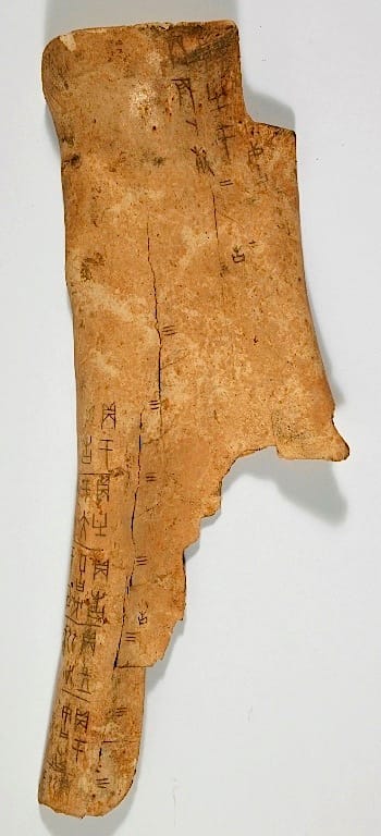 Shang Dynasty oracle bone (via British Library)