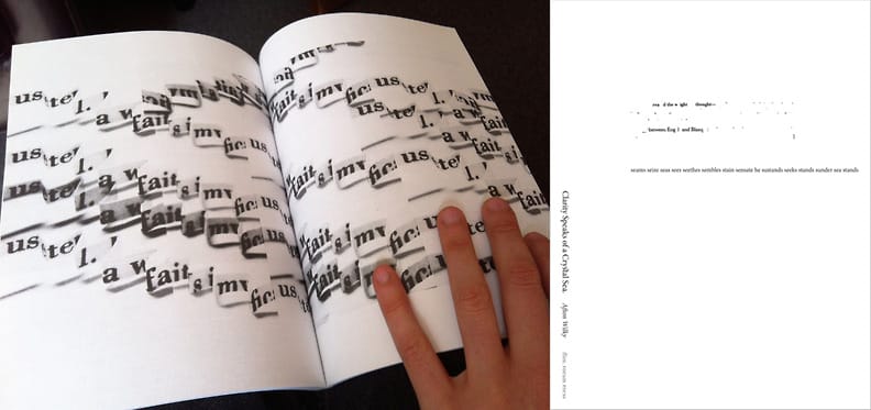 A view of Afton Wilky's Clarity Speaks of a Crystal Sea, including the cover (right) (images via )