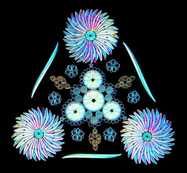 A slide of arranged diatoms by Klaus Kemp (screenshot by the author from "The Diatomist" on Vimeo)
