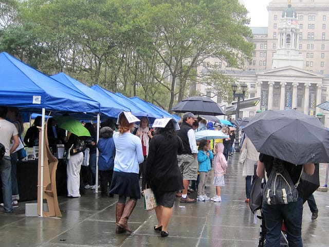 bkbf_2010