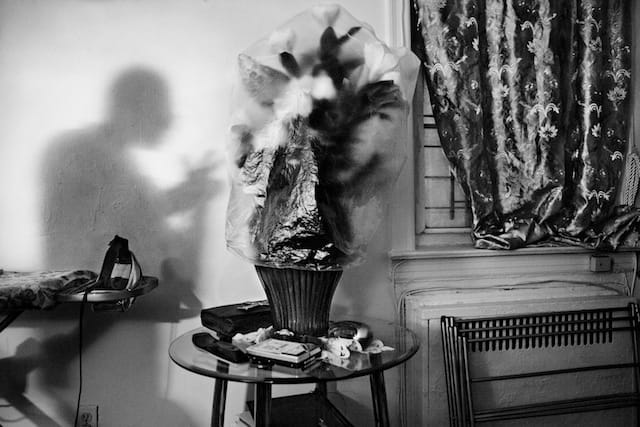 At his home in Brooklyn, Layne covers his plants with plastic so that he can more easily avoid knocking them over. 