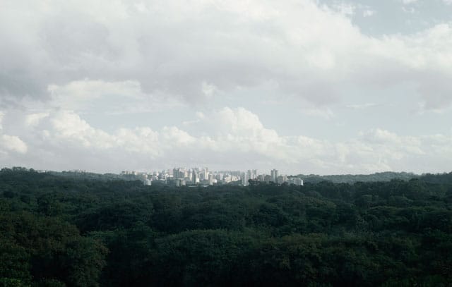 Caio Reisewitz, "Butantã" (2013) (courtesy Luciana Brito Galeria, São Paulo, © Caio Reisewitz) (click to enlarge)