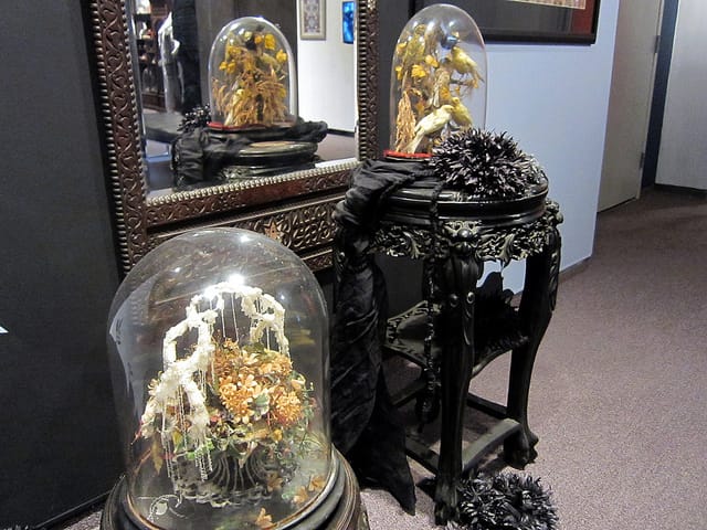 Mandy Greer: The Ecstatic Moment