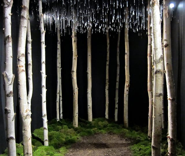 Installation by Chaney Trotter