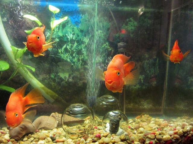 Prune Nourry's “Imbalance” installation in a Chinatown foot-massage parlor