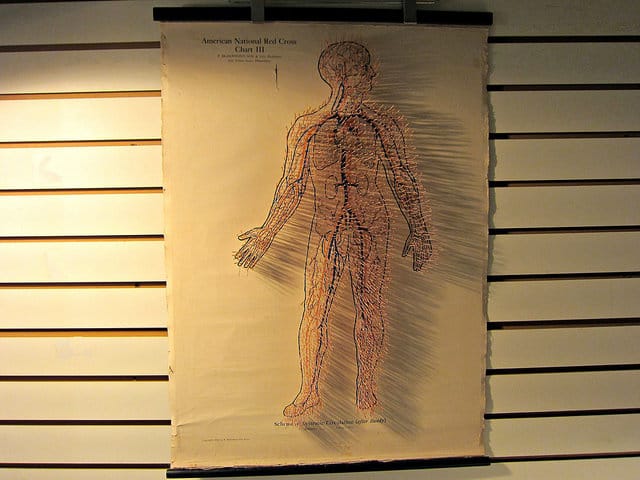 Prune Nourry's “Imbalance” installation in a Chinatown foot-massage parlor