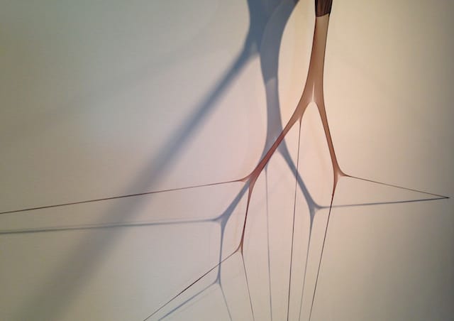 Senga Nengudi Internal I