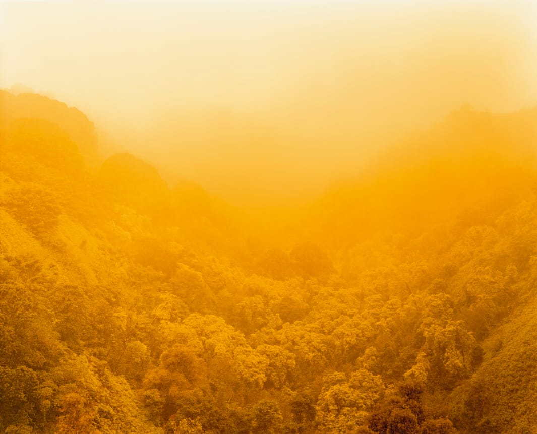 Climate Vortex Sutra (For Allen Ginsberg), Hana, Hawaii. Courtesy Danziger Gallery and Salon 94 Gallery