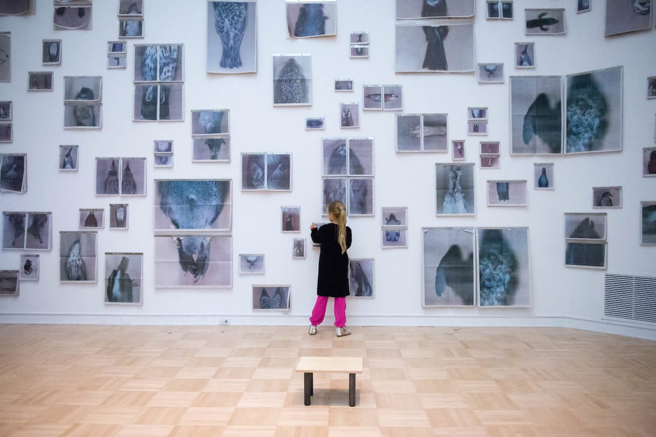 Ann Hamilton Opening Day Celebration - Oct 11, 2014. Photo by Chona Kasinger