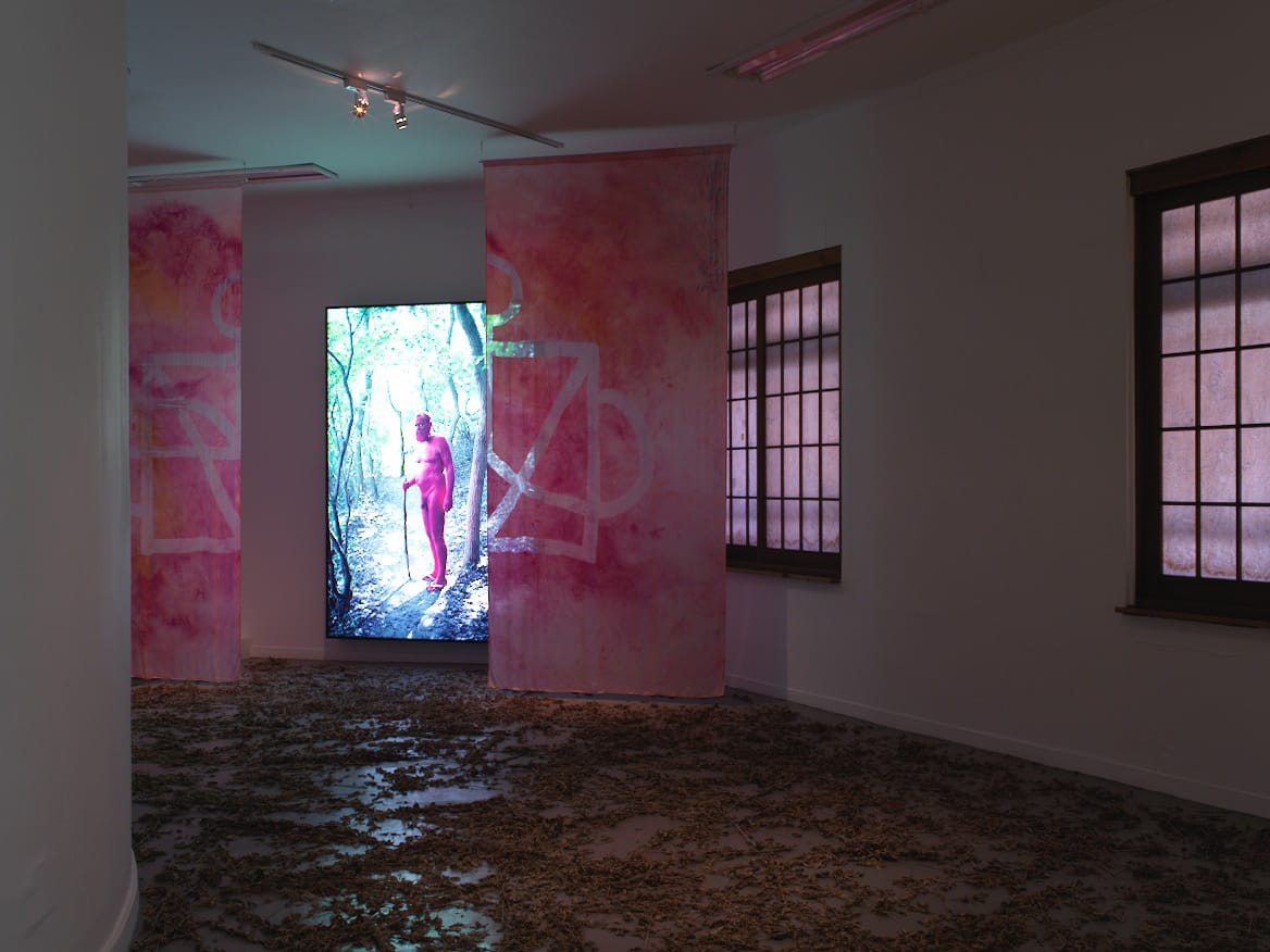 “Red” (2011) by Ryan Brewer and AA Bronson, “Flesh of Our Flesh” (2014) by AA Bronson and Richard John Jones. The floor is covered in mugwort.