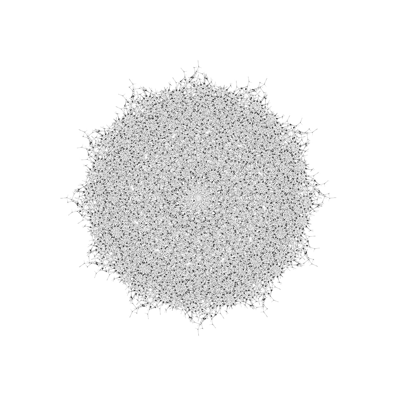 "Epiphyte" by Dornith Doherty, 2014, 36.5 x 36.5 inches, archival pigment print