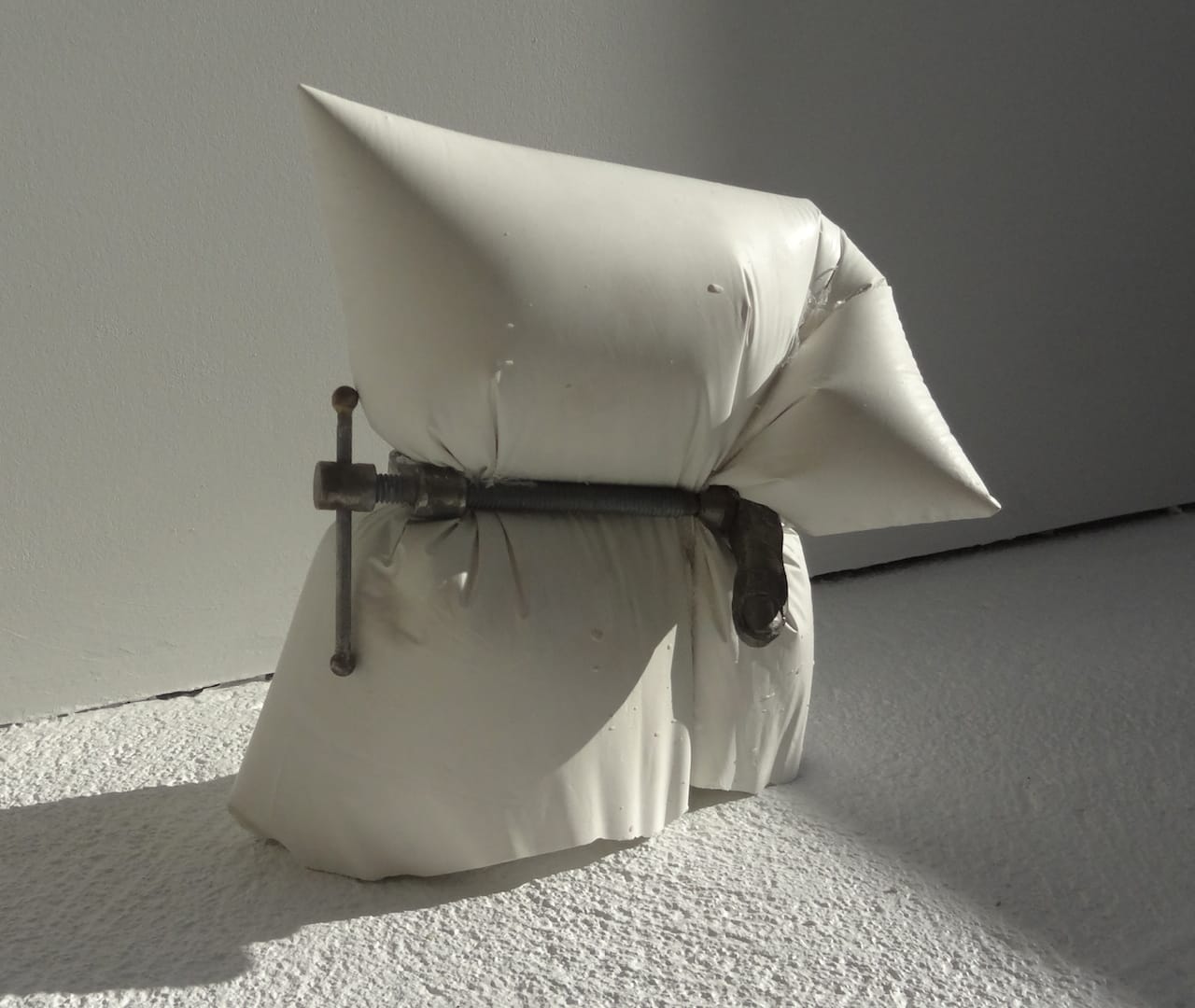 A collaboration between Sarah Gilbert and Dexter Ciprian at the Vazquez Building