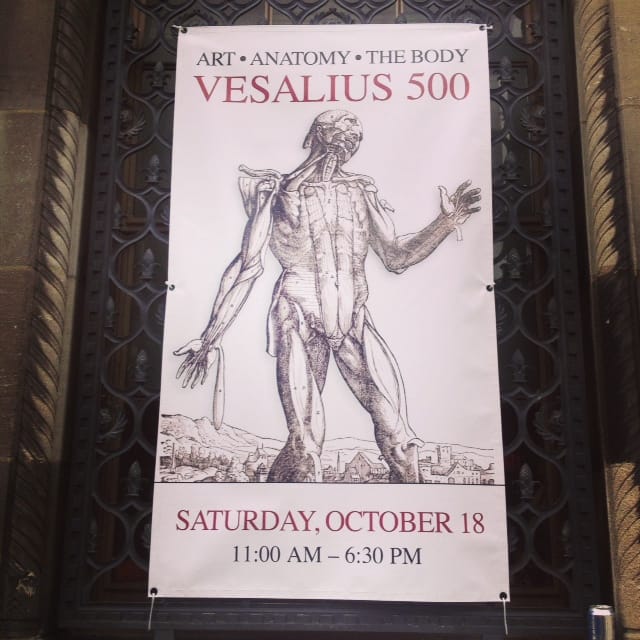 FINAL Vesalius 500 Poster