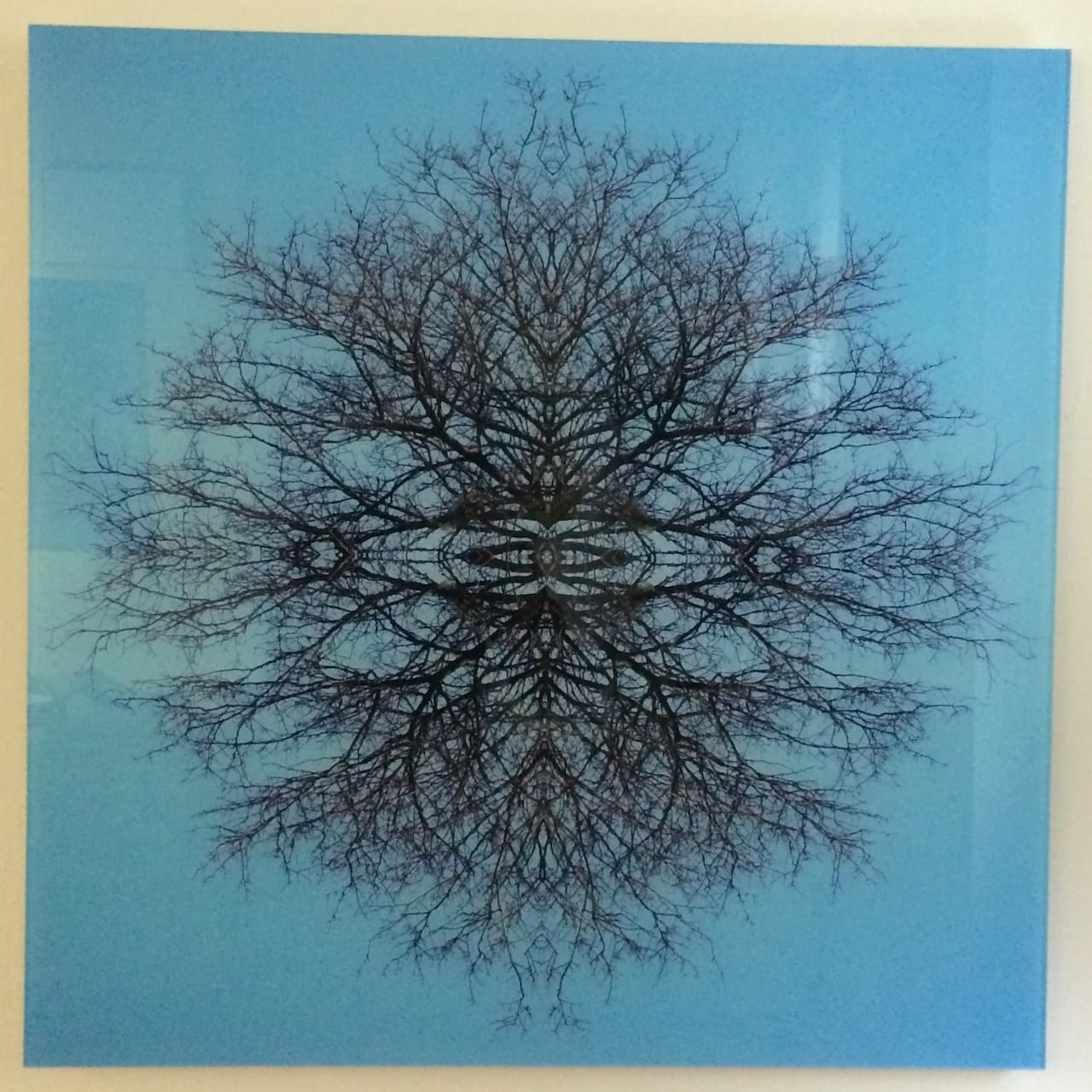 One of Charles Heppner's "Prayer Rug" photos in his studio at 232 Bergen Street