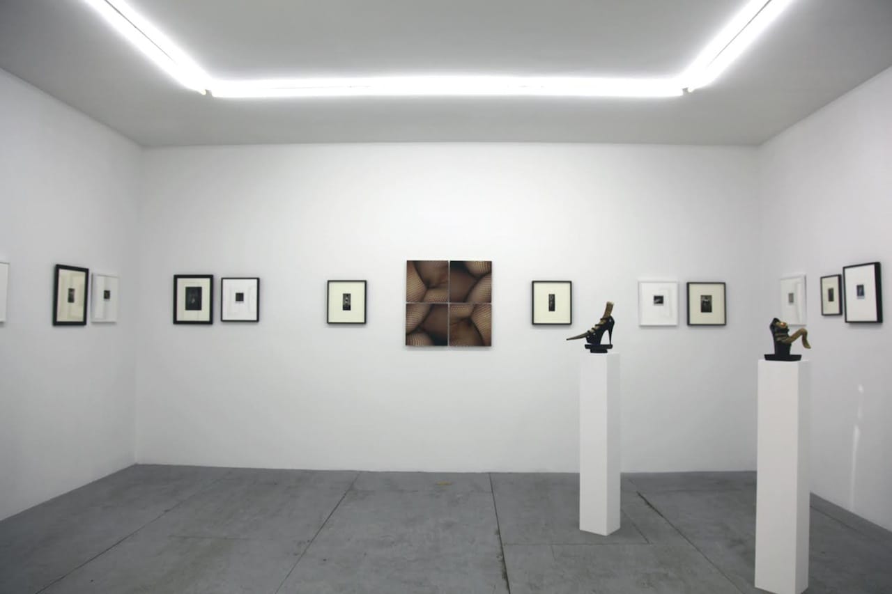 Installation view, 'BREYER P-ORRIDGE & PIERRE MOLINIER' at  Invisible-Exports, New York, 2014 (courtesy the artists and Invisible-Exports)