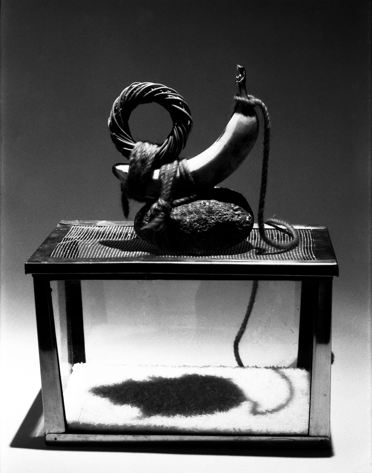 Mac Adams, Empty Spaces: Mouse, 1997, silver print. Courtesy of the artist.