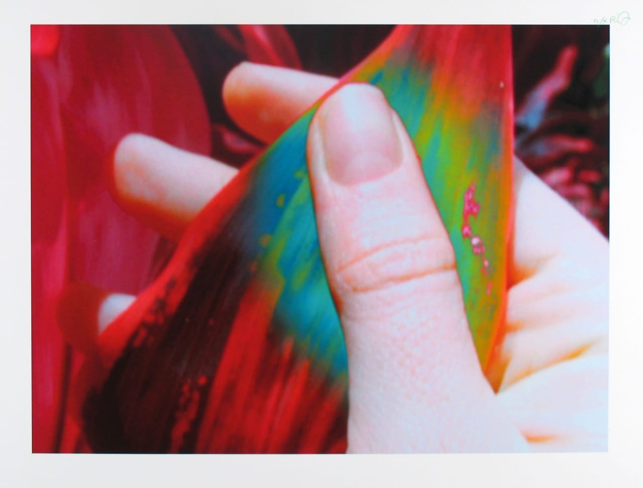 Pipilotti Rist, “Core of Touch (Kern der Gerugrung).” Video still, ink print on rag paper. Overall: 31 x 24  in. (78.74 x 60.96 cm). From the ASU Art Museum collection; gift of Pipilotti Rist. 