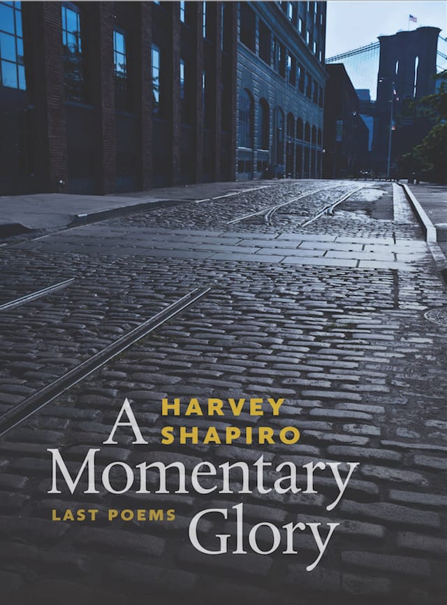 Shapiro - Momentary-C-300-X