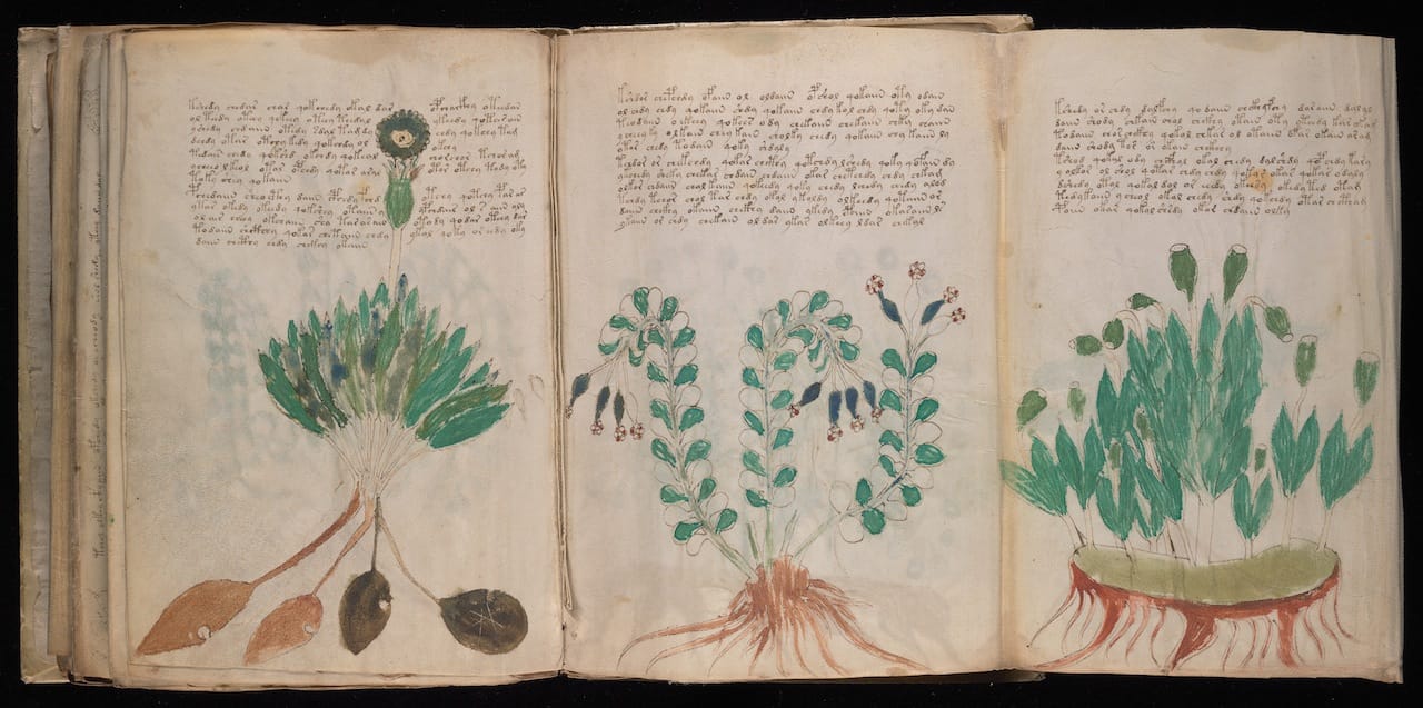 Voynich Manuscript (courtesy Yale University Library)