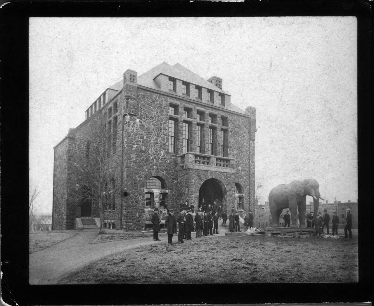 Moving Jumbo into the Barnum Museum (1889) (image courtesy Tufts University Art Gallery)