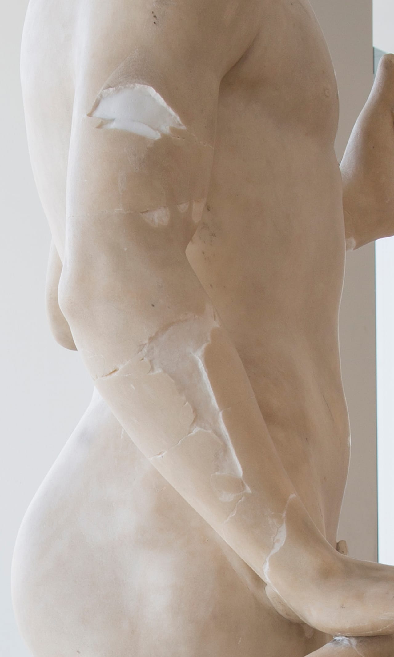 A look at some of "Adam"'s scars during the conservation process. Here many of the broken fragments are reassembled.