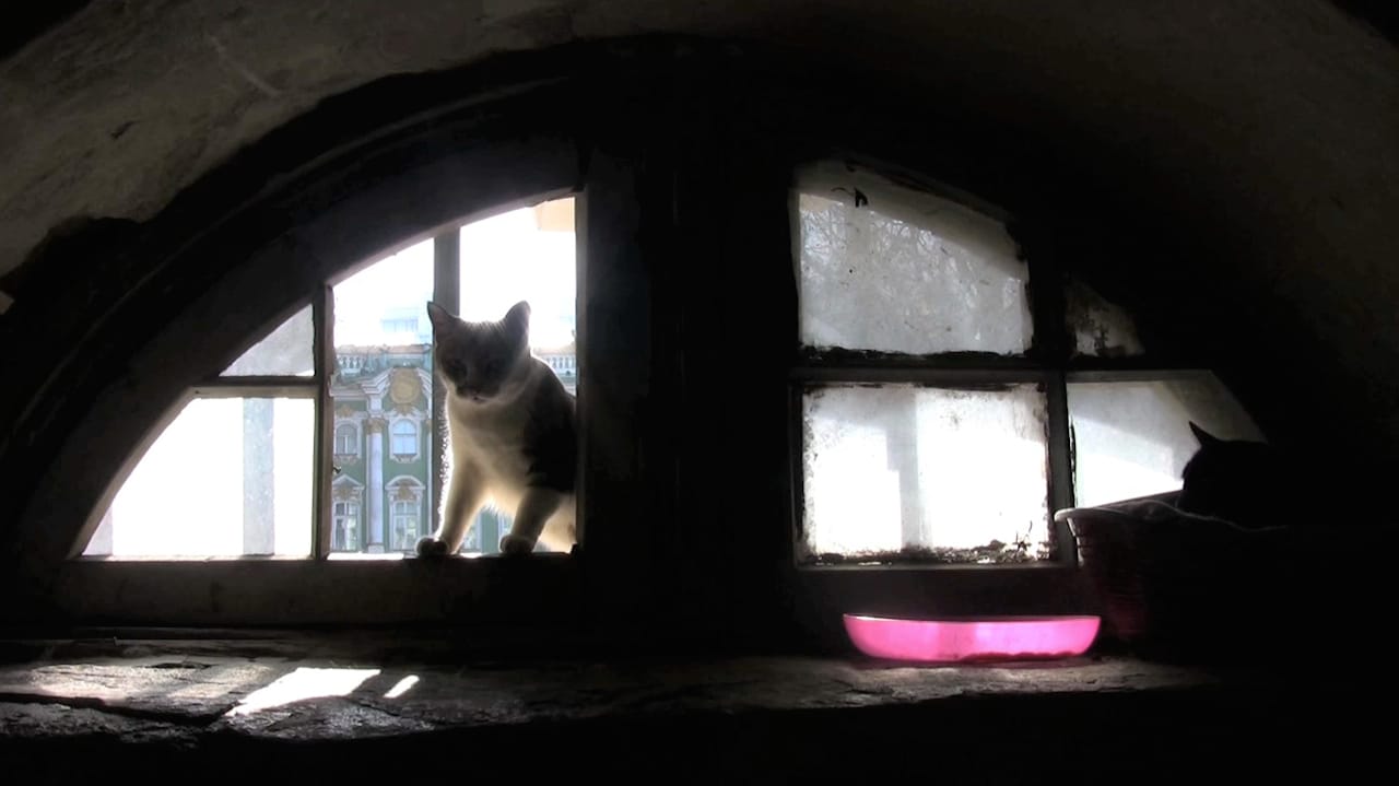 Sill from Anna Jermolaewa, "Untitled (Hermitage Cats)" (2013)