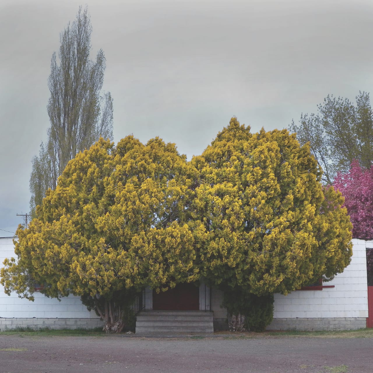 Hiroshi Watanabe, "The Day the Dam Collapses"