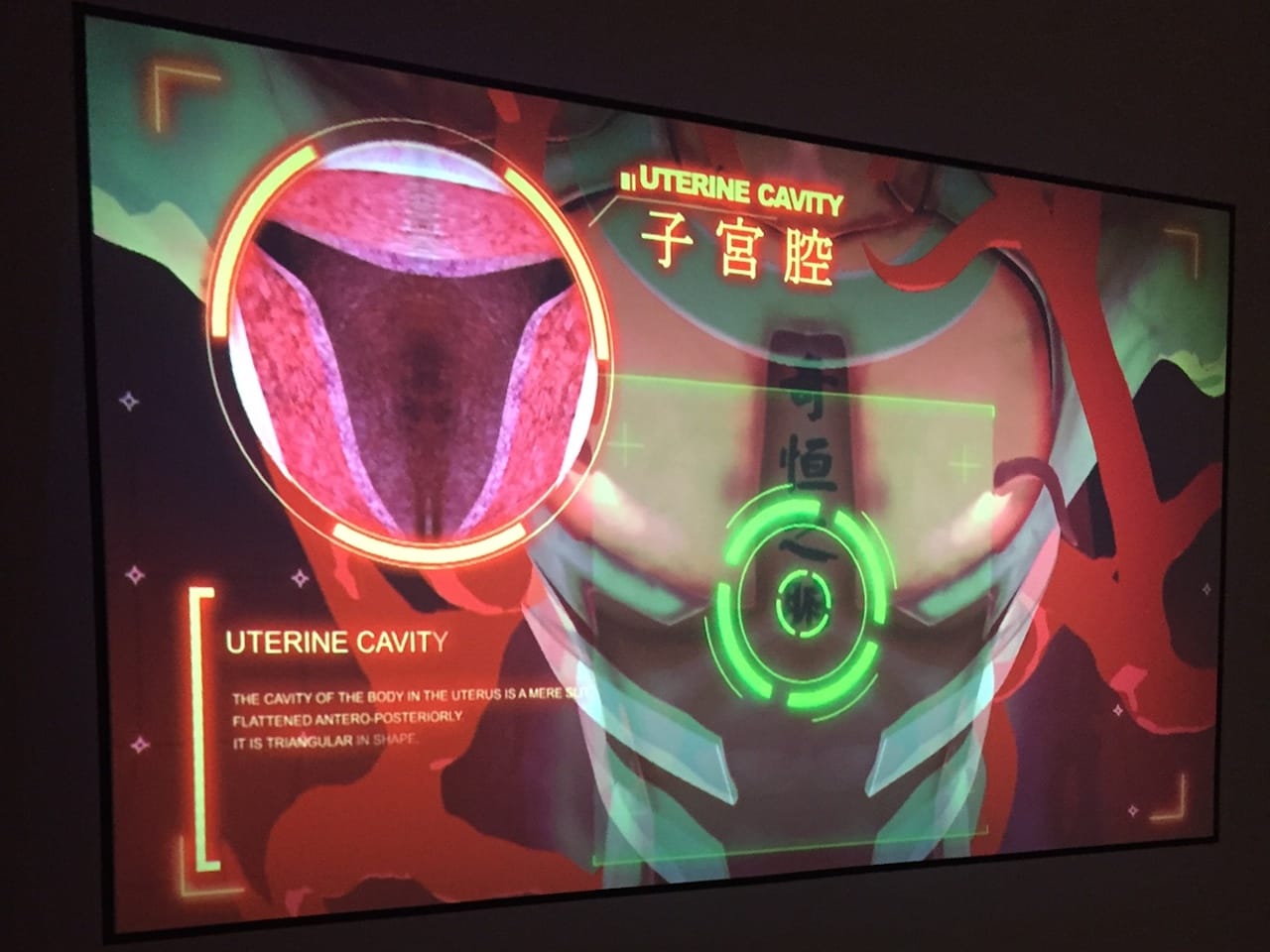 Lu Yang's "UterusMan" (2013) at Ventana 244 (photo by the author for Hyperallergic)