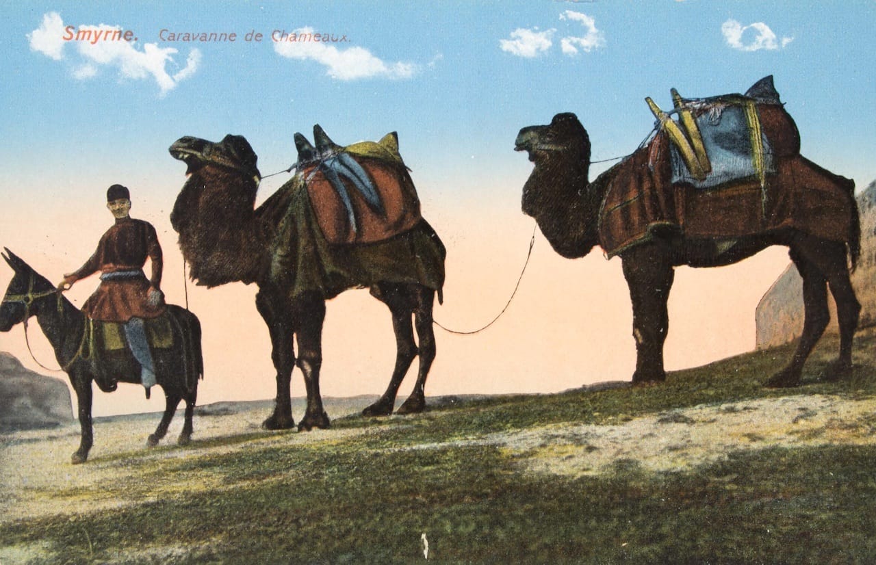 "No. 17 - Desert Transport, Iraq"  Turkey, Early 20th century  Color photomechanical printed postcard Publisher: A & K Naman, Baghdad  Myron Bement Smith Collection  Freer Gallery of Art and the Arthur M. Sackler Gallery Archives, FSA A.04  pc180