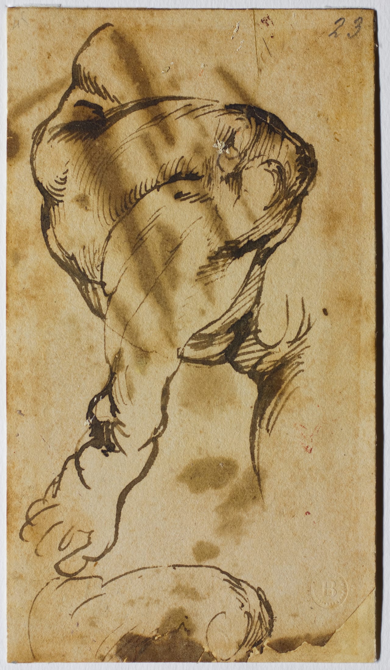 Michelangelo, "Study for the Leg of the Christ Child in the ‘Doni Tondo’” (1506) (click to enlarge)