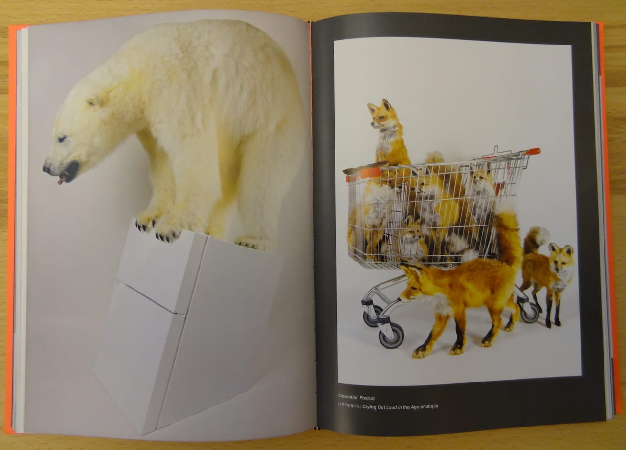 Works by Rod McRae in 'Taxidermy Art'