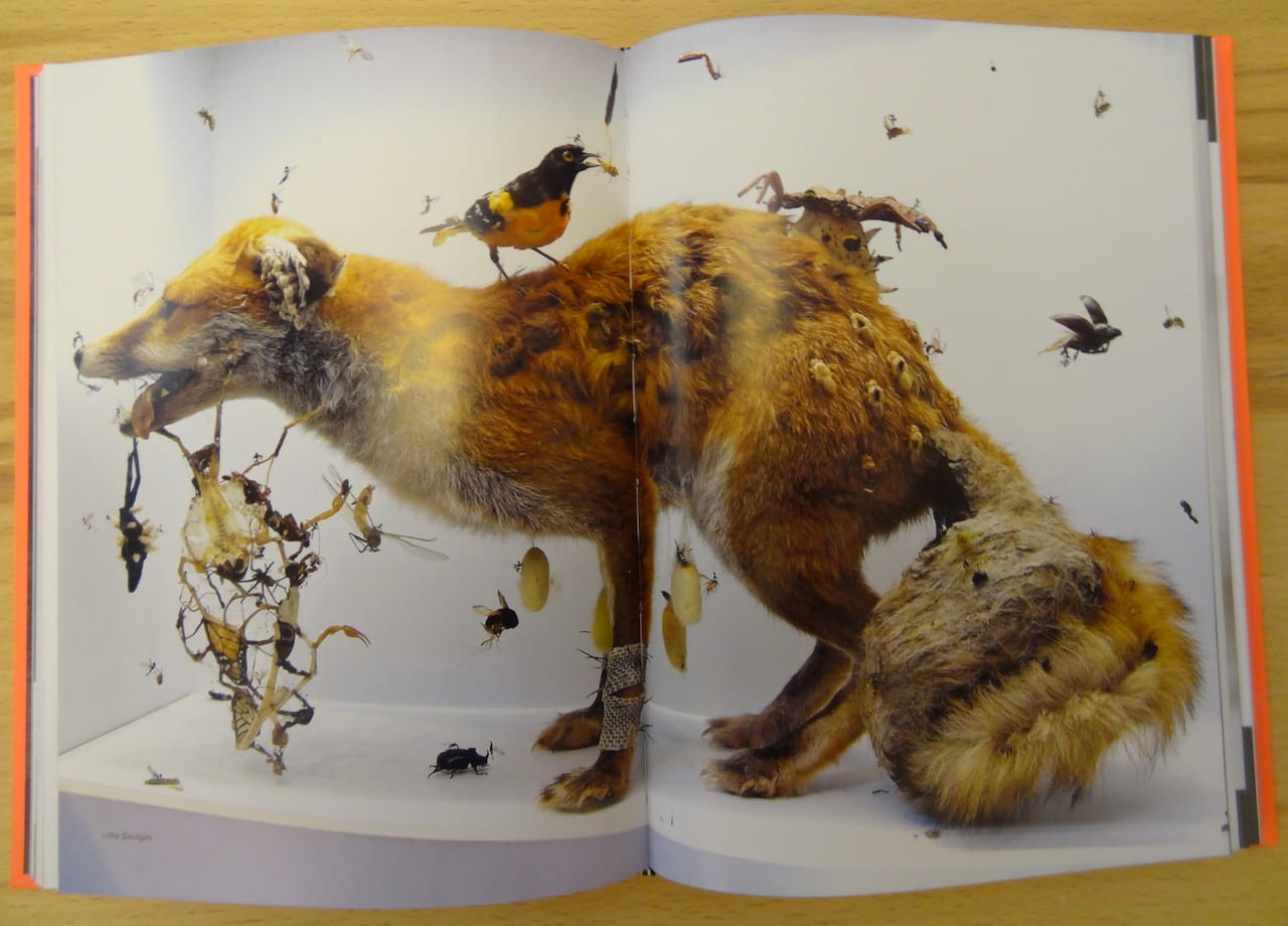 Tessa Farmer, "Little Savages" in 'Taxidermy Art'