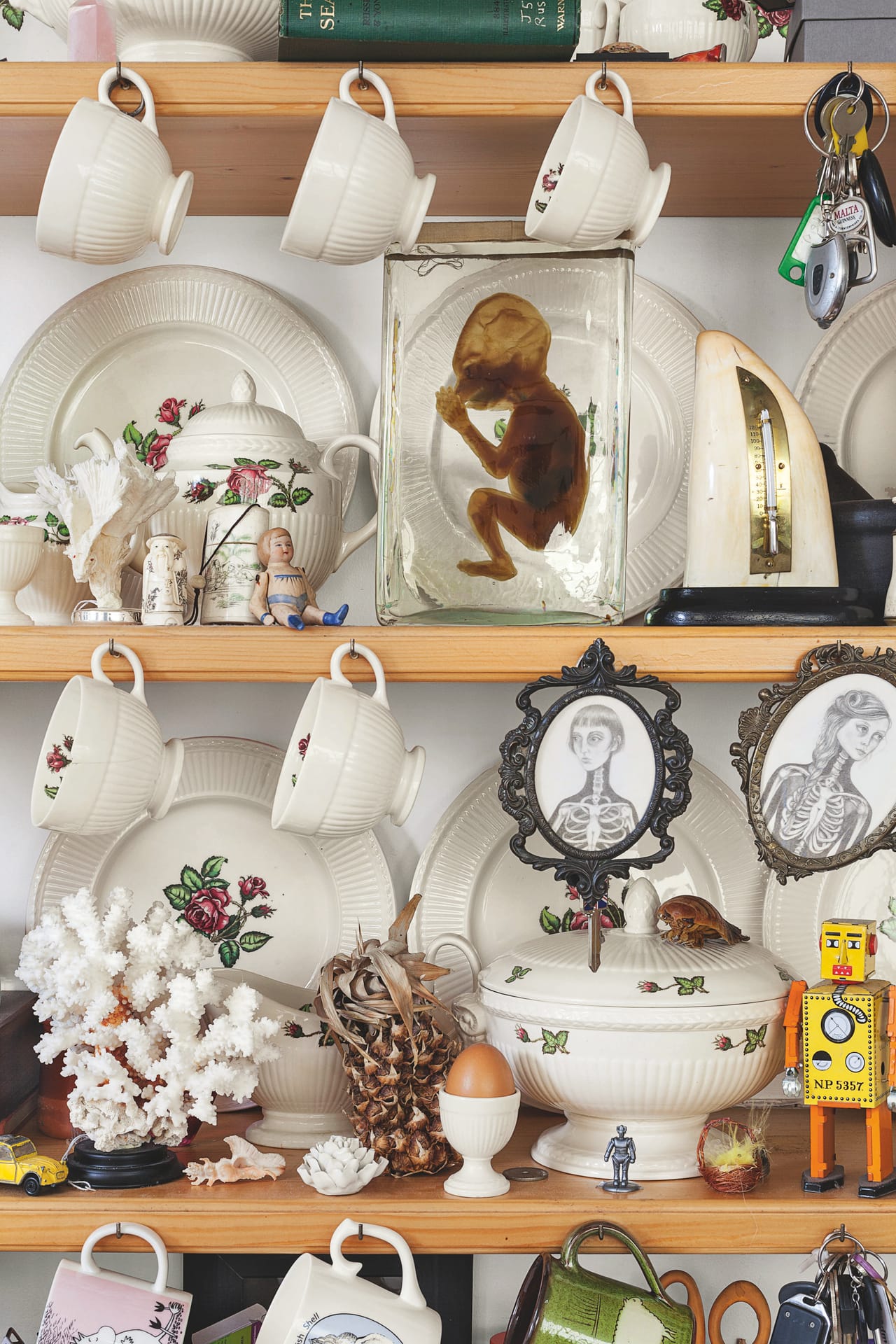 Victorian baby amongst other curios (photograph by Oskar Proctor)