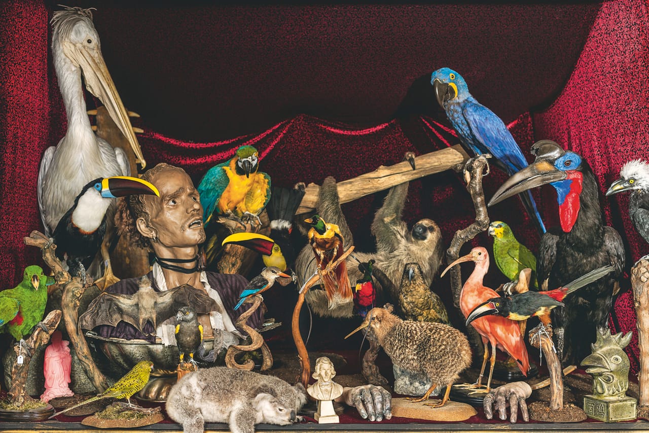 Sculpture by Eleanor Crook & rare birds (photograph by Oskar Proctor)