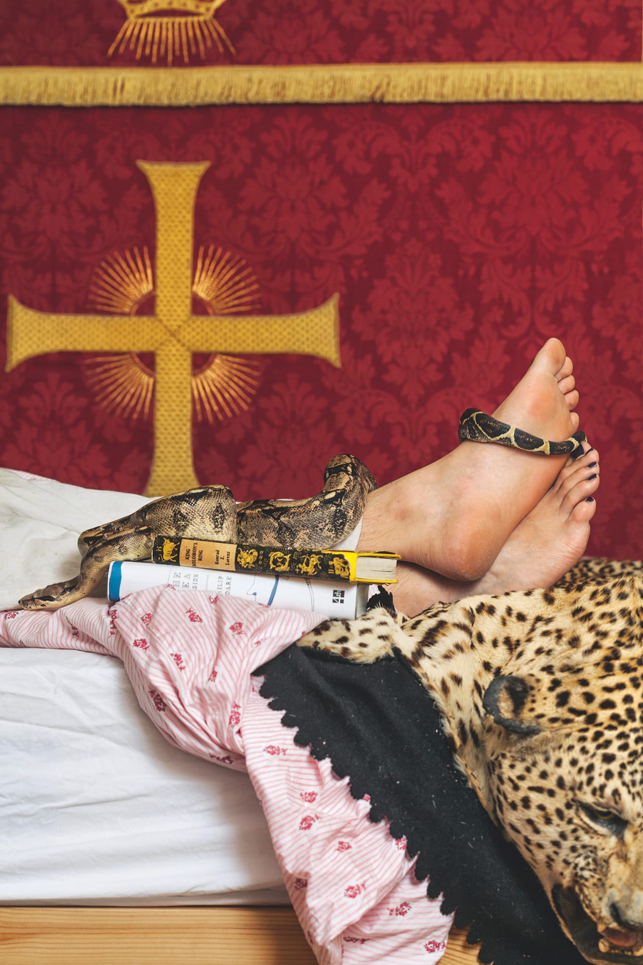 Viktor Wynd's pet Delilah (photograph by Oskar Proctor)