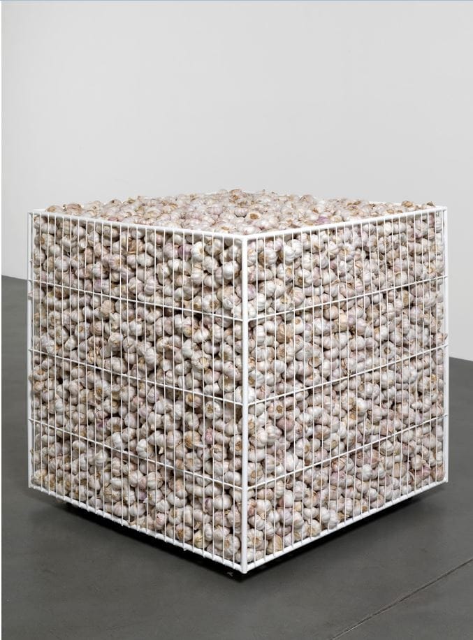 Mircea Cantor, Underestimated Consequences, 2011 // Courtesy Mircea Cantor et Yvon Lambert © Image courtesy de Mircea Cantor et Galerie Simon Lee, London / Ph. Todd White