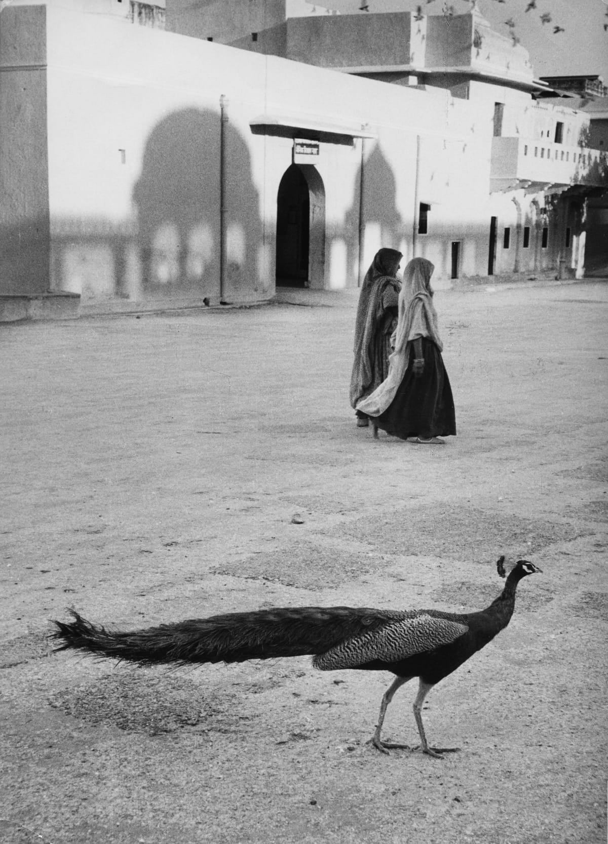 Marc Riboud (French, b. 1923) Jaipur Jaipur, India, 1956  Photograph 23.2 x 33 cm. 