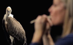 Philadelphia Museum of Art & The Fabric Workshop and Museum Present a Joint Exhibition, 'Allora & Calzadilla: Intervals'