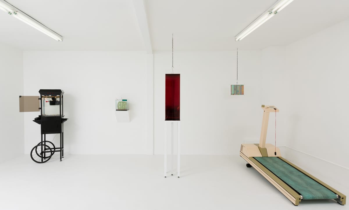 Max Hooper Schneider: The Pound, installation view (via Jennys.us)