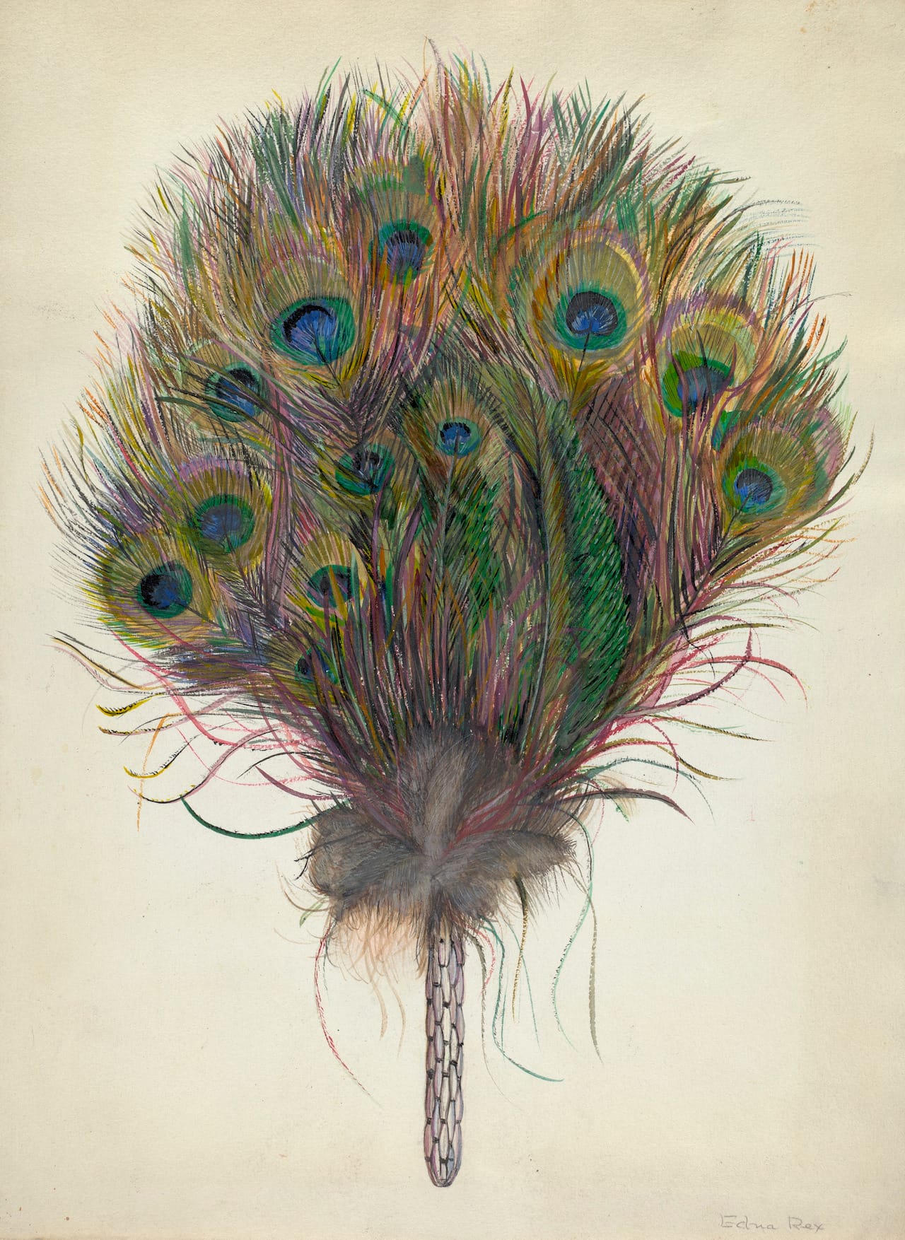 Edna C. Rex, Peacock Feather Fan, American, active c. 1935, c. 1938, watercolor, goauche, and graphite on paper, Index of American Design