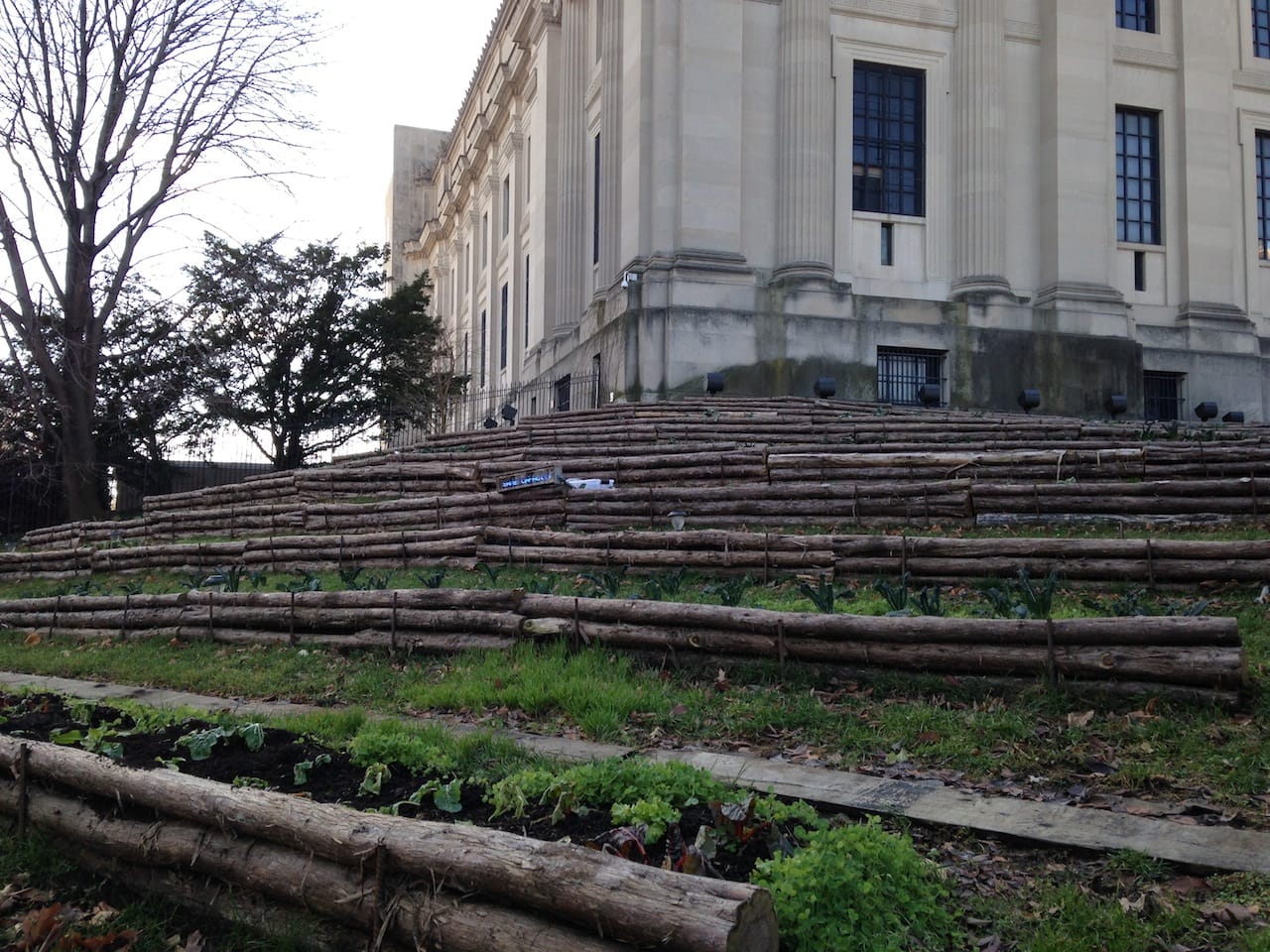 Linda Goode Bryant and Project Eats' vegetable garden at the Brooklyn Museum