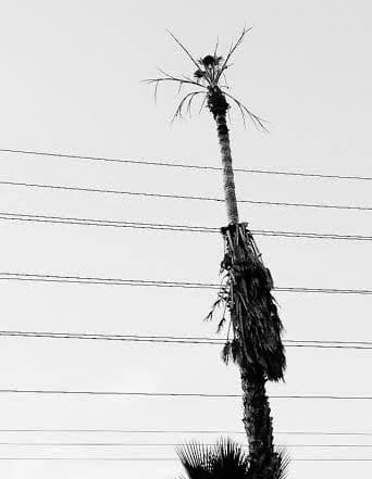 (via matanoise.blogspot.com)